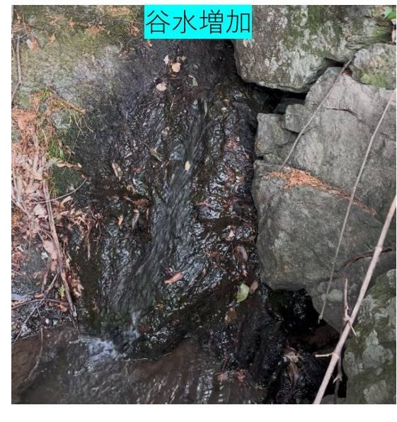 海女の森で観察した谷水の様子