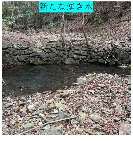 海女の森で新たに確認した湧き水の記録写真1