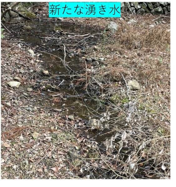 海女の森で新たに確認した湧き水の記録写真2