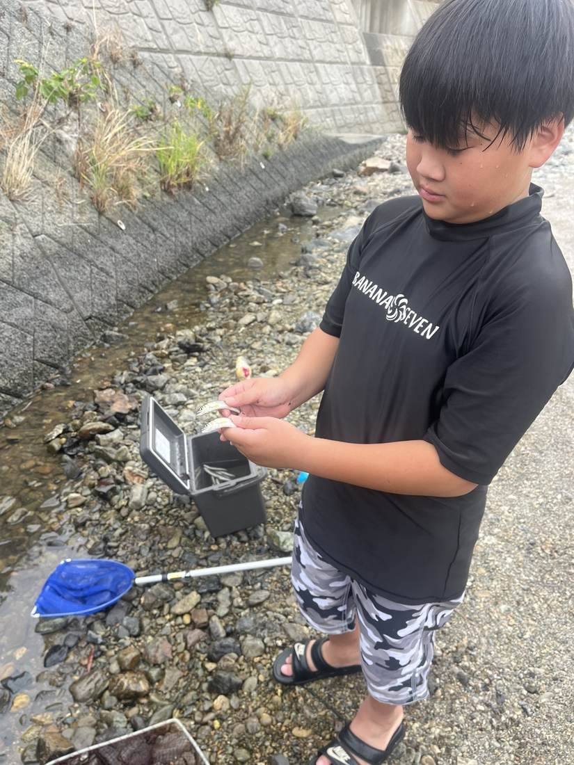 河内川で魚を観察している様子