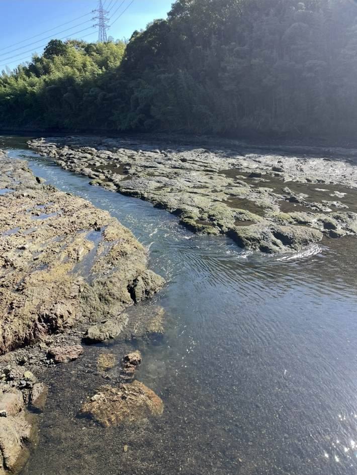 五十鈴川下流の水と川底の様子